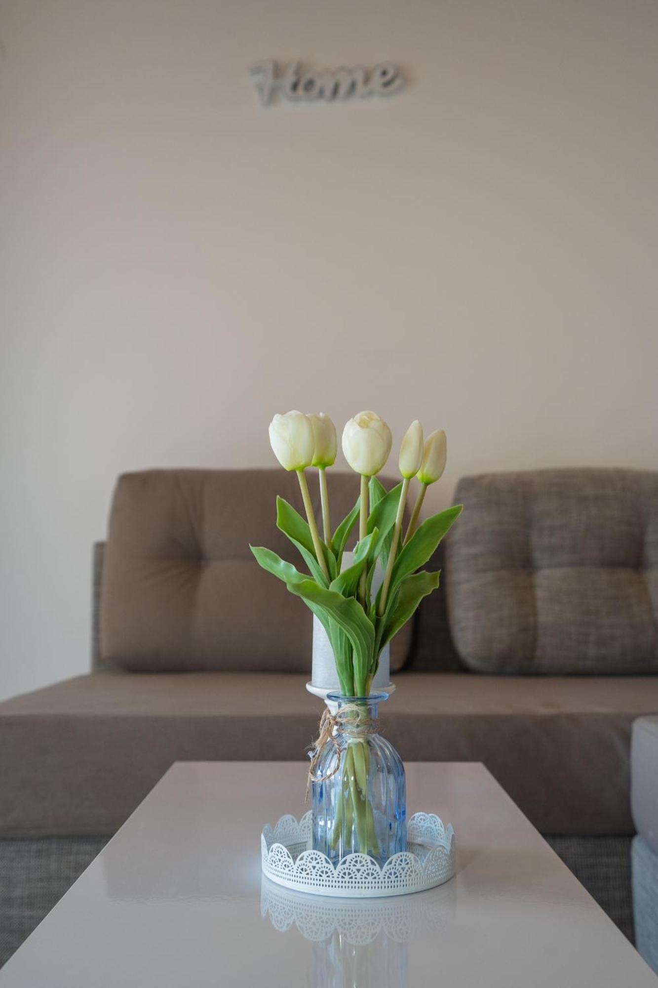 Potocnica Garden Resort - Apartments Maslina מראה חיצוני תמונה